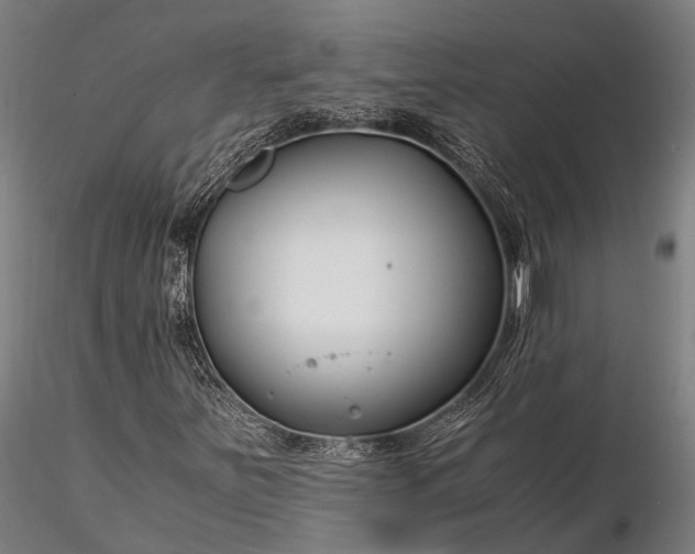 X0000116391251200912161516