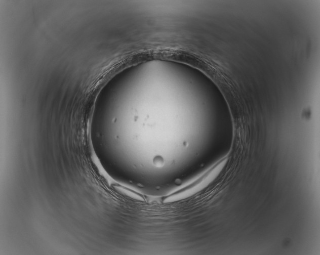 X0000116391252200912161516