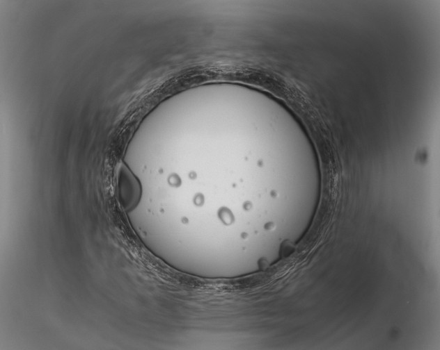 X0000116391253200912161516