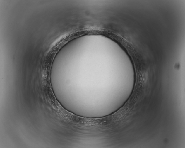 X0000116391254200912161516