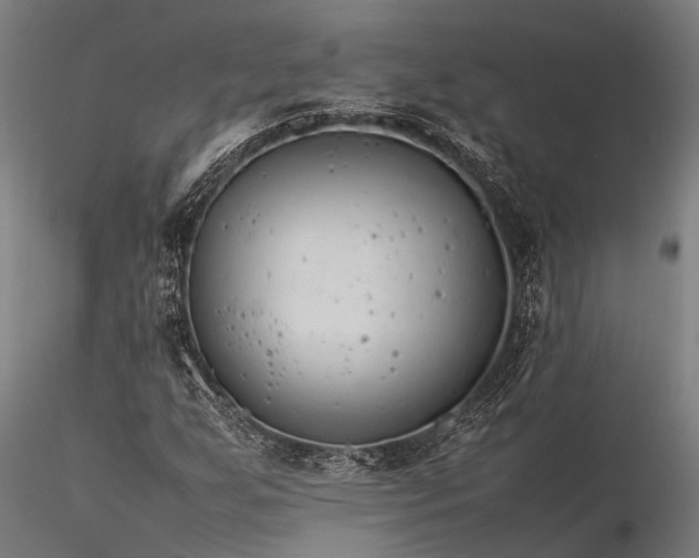 X0000116391255200912161516