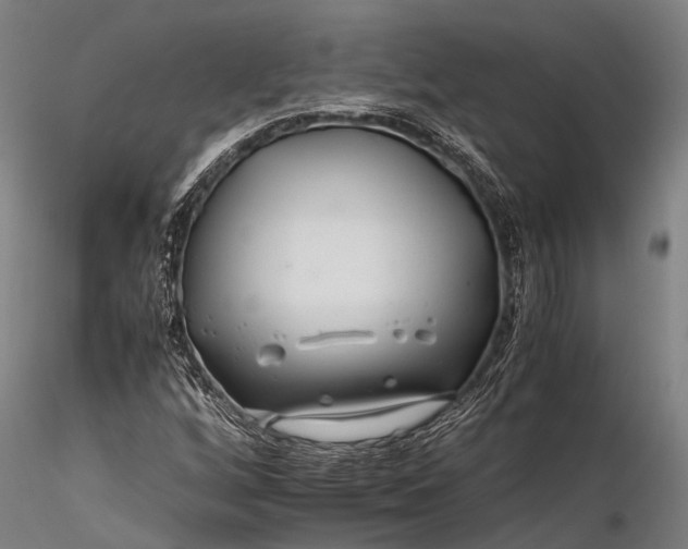 X0000116391256200912161516