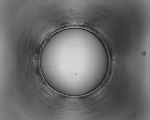 X0000116391257200912161516