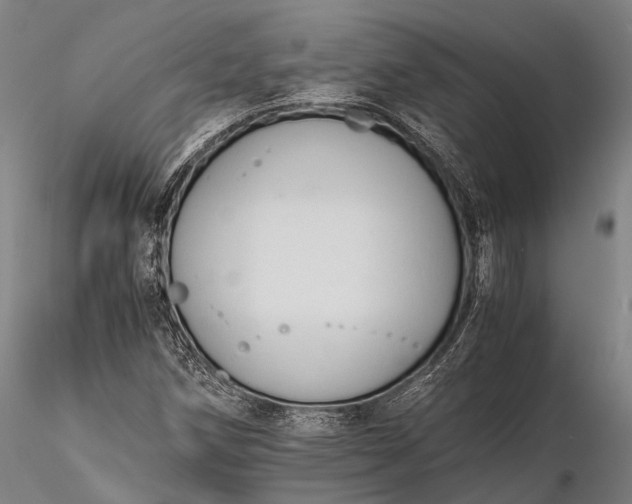 X0000116391258200912161516