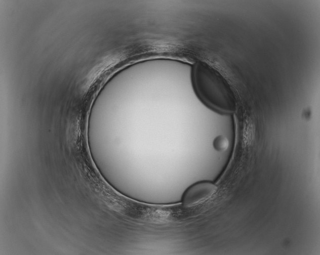 X0000116391261200912161516