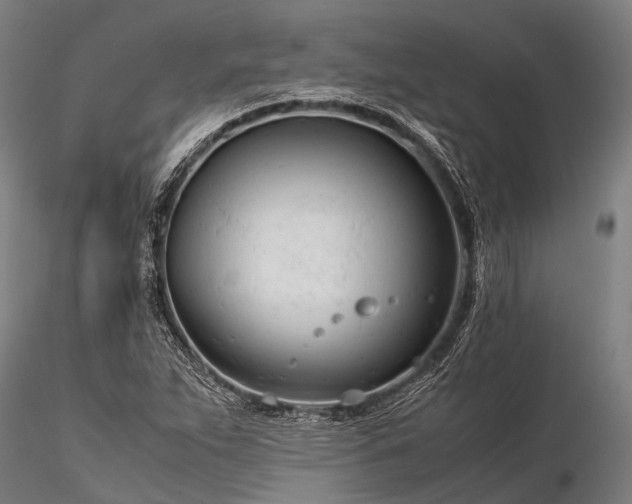 X0000116391263200912161516