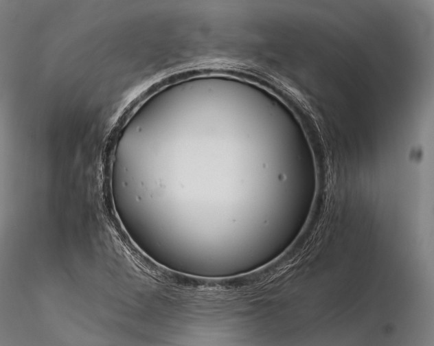 X0000116391264200912161516