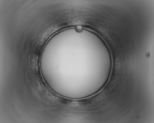 X0000116391265200912161516