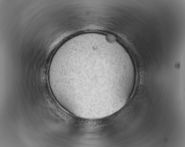 X0000116391266200912161516