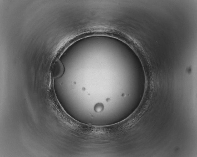 X0000116391267200912161516