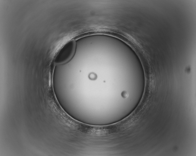 X0000116391269200912161516