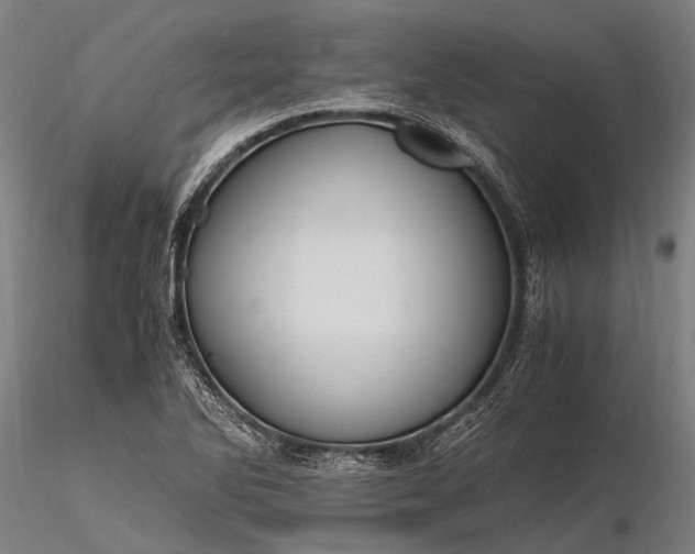 X0000116391270200912161516