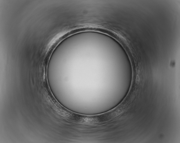 X0000116391271200912161516