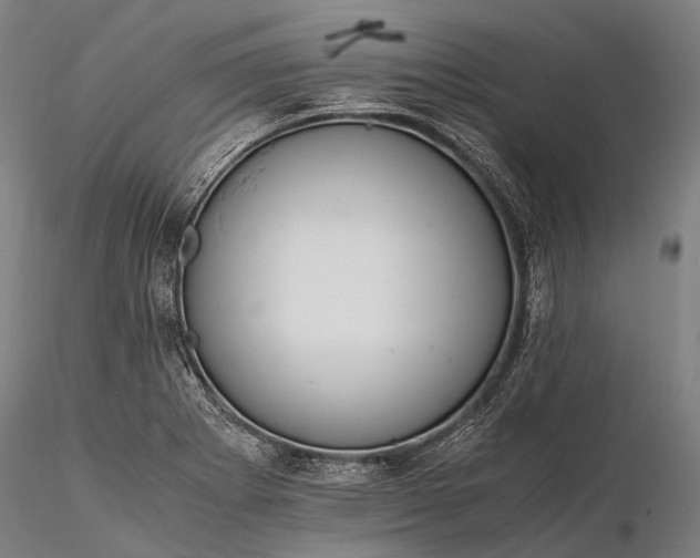 X0000116391273200912161516