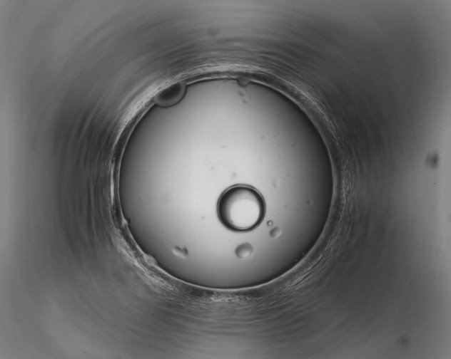 X0000116391274200912161516