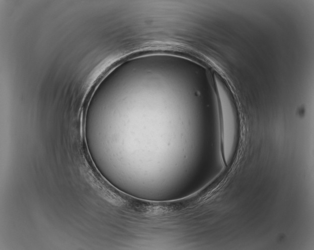 X0000116391275200912161516