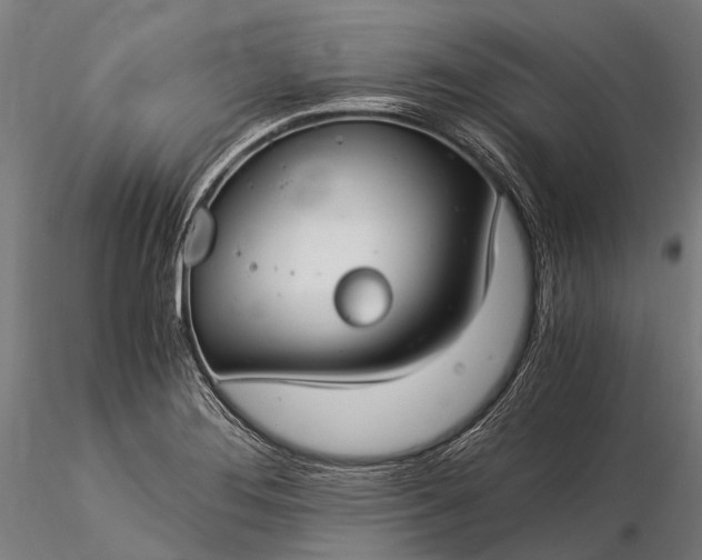 X0000116391276200912161516