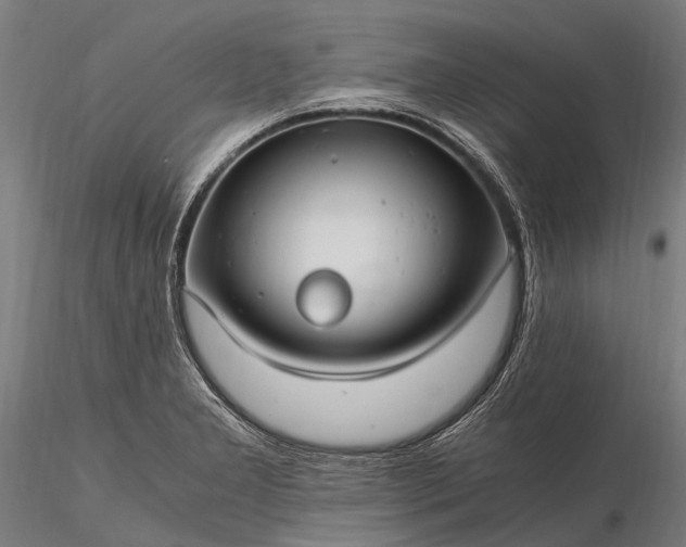 X0000116391277200912161516