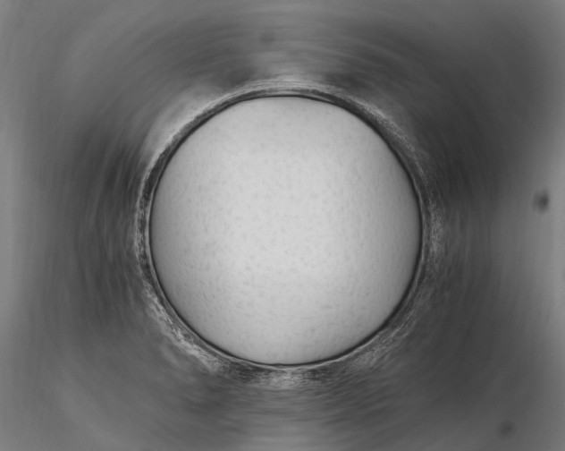 X0000116391278200912161516