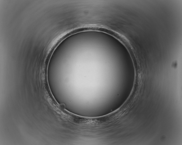 X0000116391279200912161516