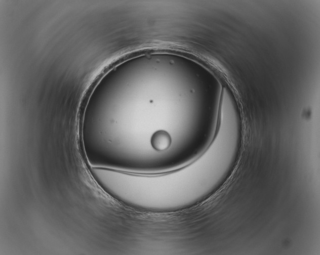 X0000116391280200912161516
