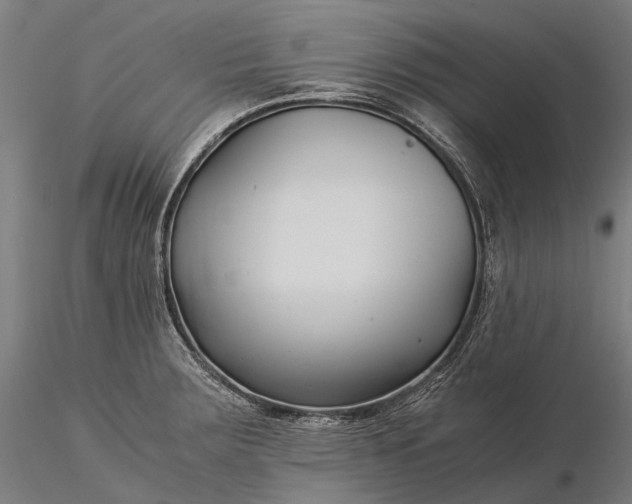 X0000116391283200912161516