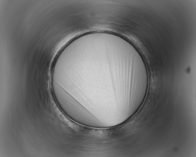X0000116391286200912161516