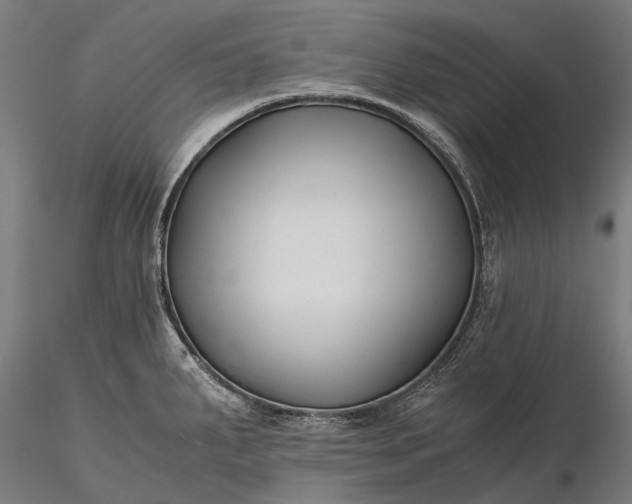 X0000116391287200912161516
