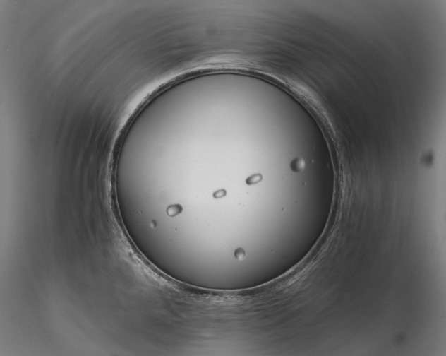 X0000116391288200912161516