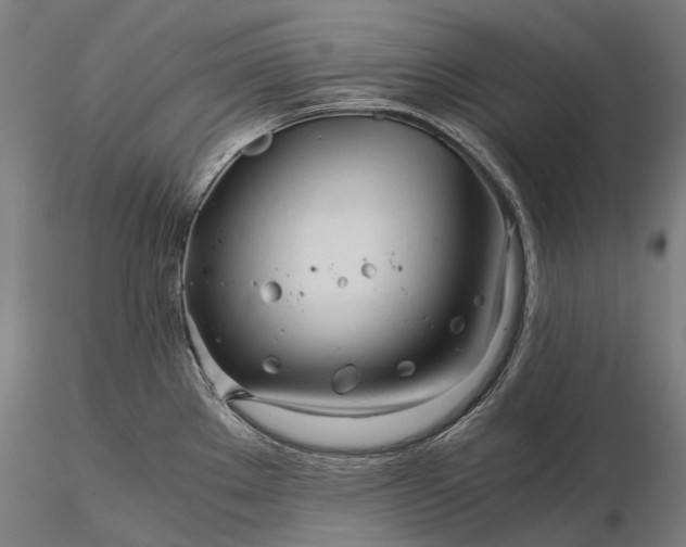 X0000116391289200912161516