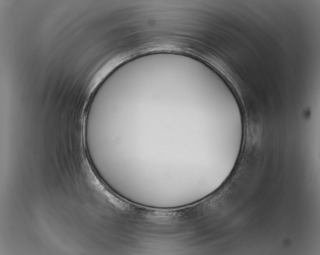 X0000116391290200912161516