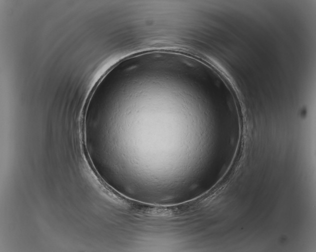 X0000116391291200912161516