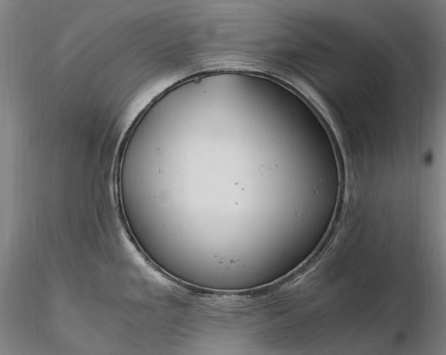X0000116391293200912161515