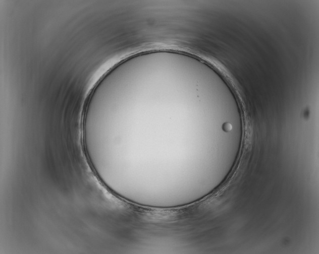 X0000116391294200912161515
