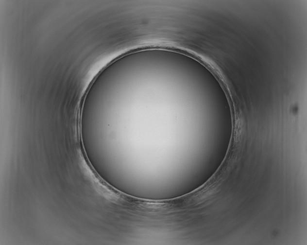X0000116391295200912161515
