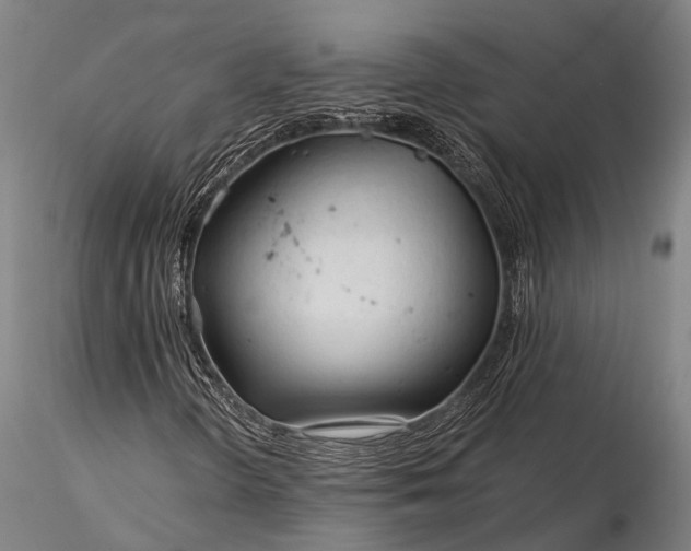 X0000116391298200912161515