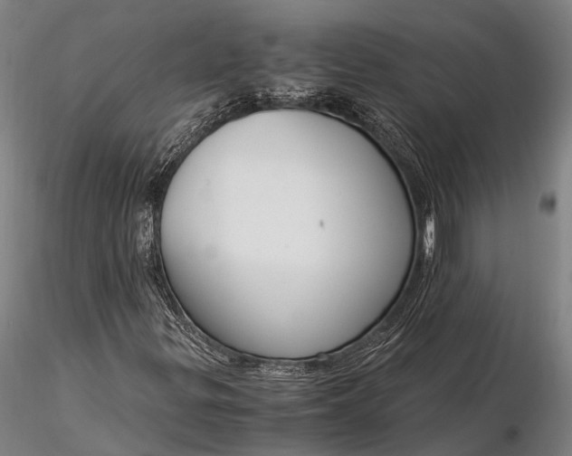 X0000116391299200912161515