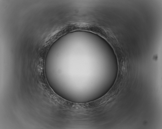 X0000116391301200912161515