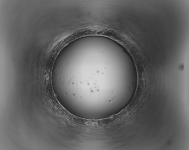 X0000116391302200912161515
