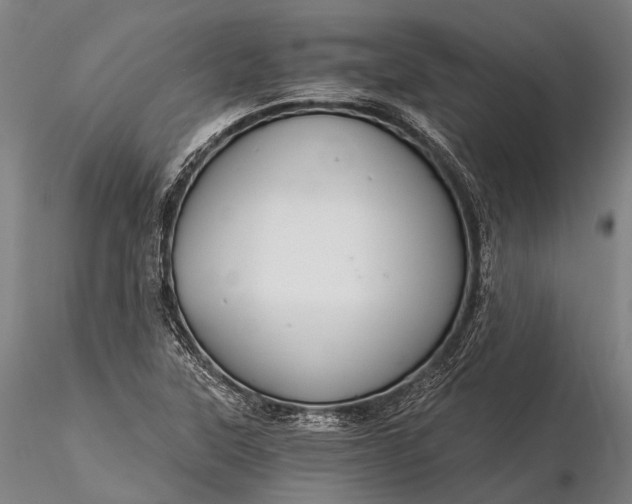 X0000116391315200912161515