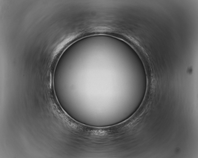 X0000116391317200912161515