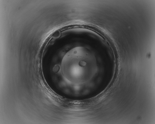 X0000116391318200912161515