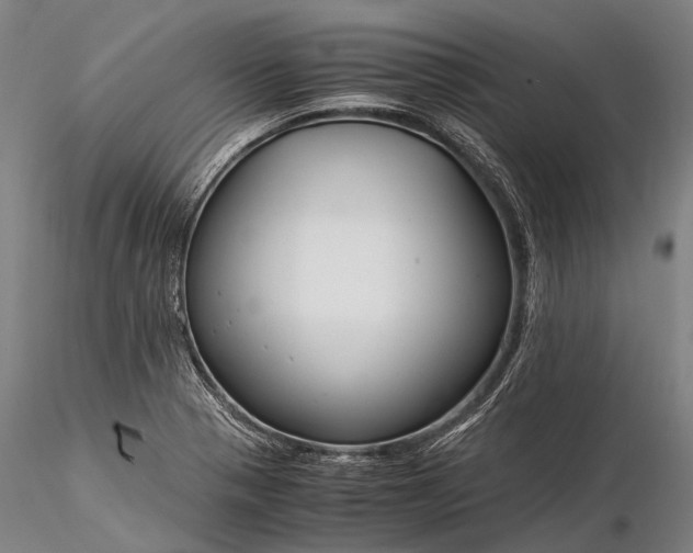 X0000116391321200912161515