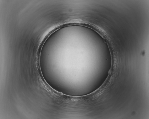 X0000116391326200912161515
