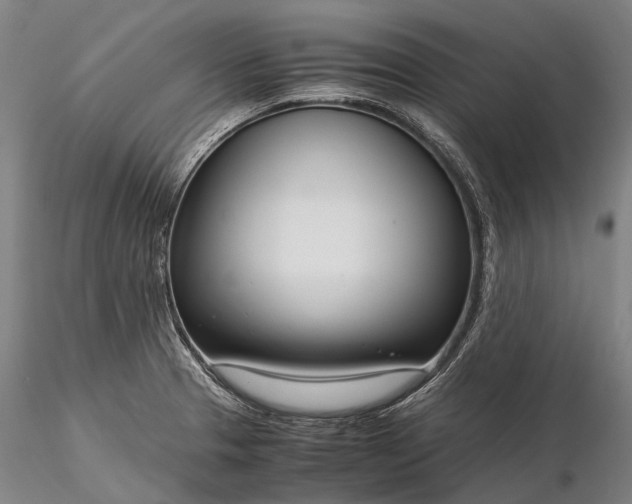 X0000116391329200912161515