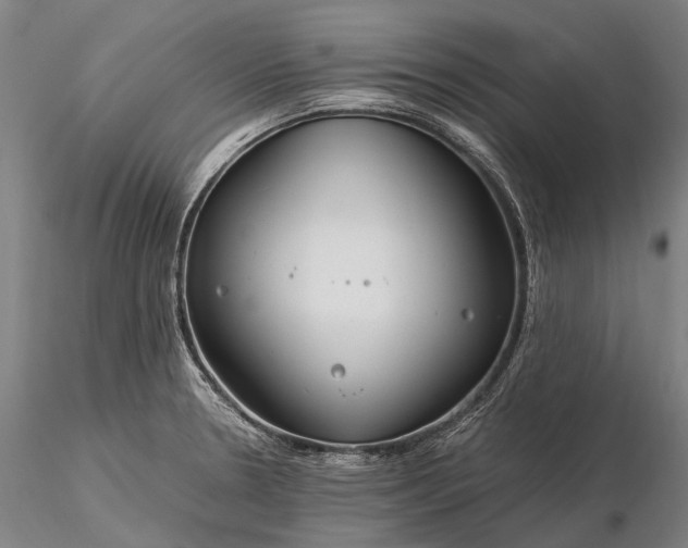 X0000116391330200912161515