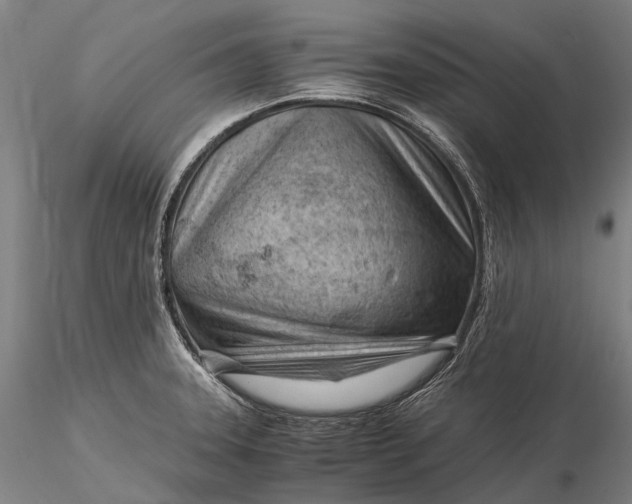 X0000116391331200912161515