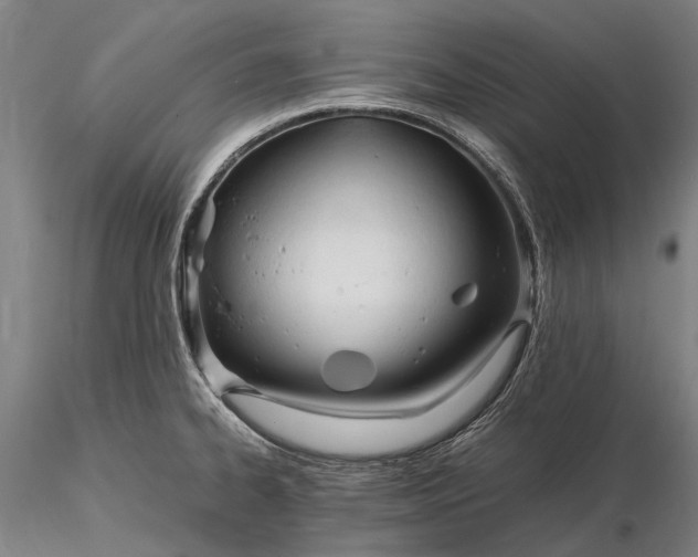 X0000116391334200912161515