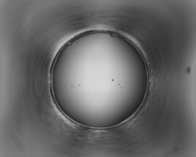 X0000116391335200912161515