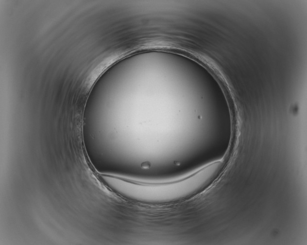 X0000116391337200912161515